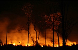 Đăk Nông: Đốt nương rẫy, gây cháy nhiều ha rừng phòng hộ 